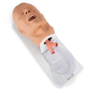 Manikin, Simulaids Economy Adult Airway Management Trainer