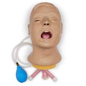 Manikin, Nasco Life/form, Airway Larry Trainer Head,