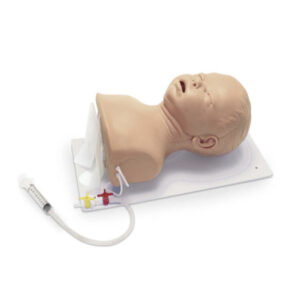 Manikin, Nasco, Deluxe Intubation Head,